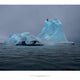 Blue Fossil Entropic Stories Print - Julian Charrière