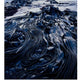 Giant Kelp Print - Peter Dombrovskis