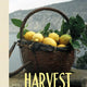 Harvest: Art, Film + Food