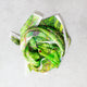 Rainforest Silk Scarf - Catherine Baudet