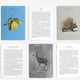 Wonder of Nature Card Set