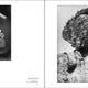 World History of Women Photographers