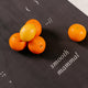 Citrus Mat (smooth ~ mammal) - Sebastian Moody Limited Edition Yoga Mat