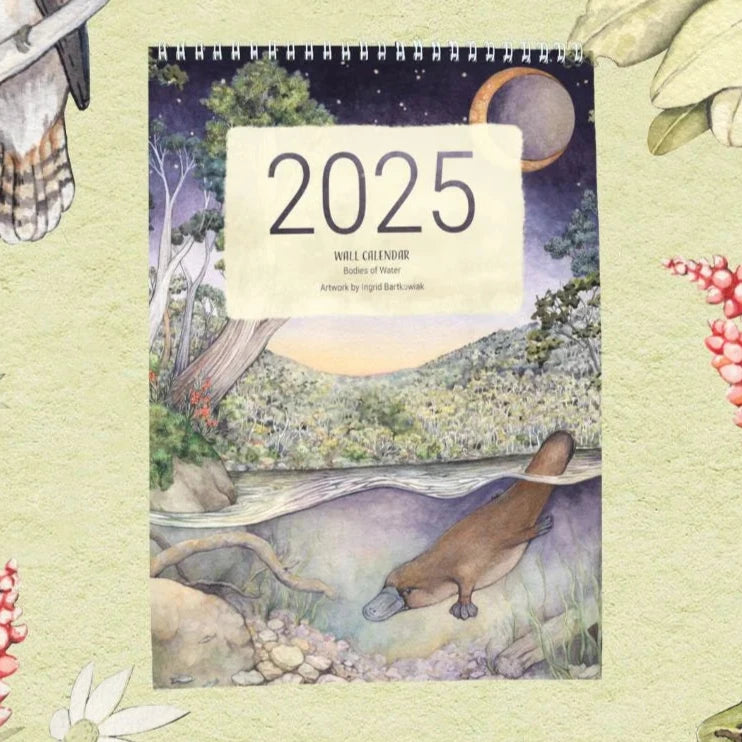 Ingrid B Art 2025 Illustrated Wall Calendar