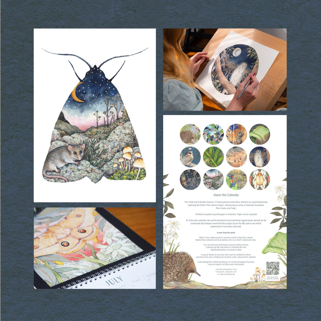 From Dusk To Dawn 2026 Wall Calendar - Ingrid Bartowiak