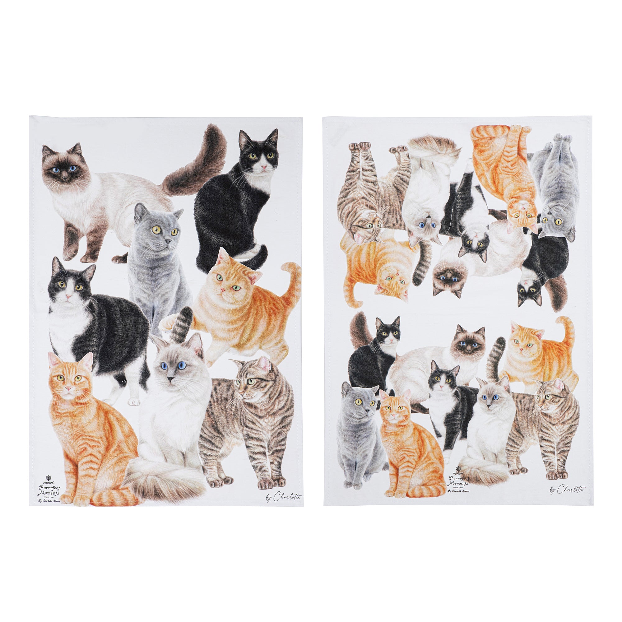 Purrfect Moments Cat Tea Towels - Set of 2