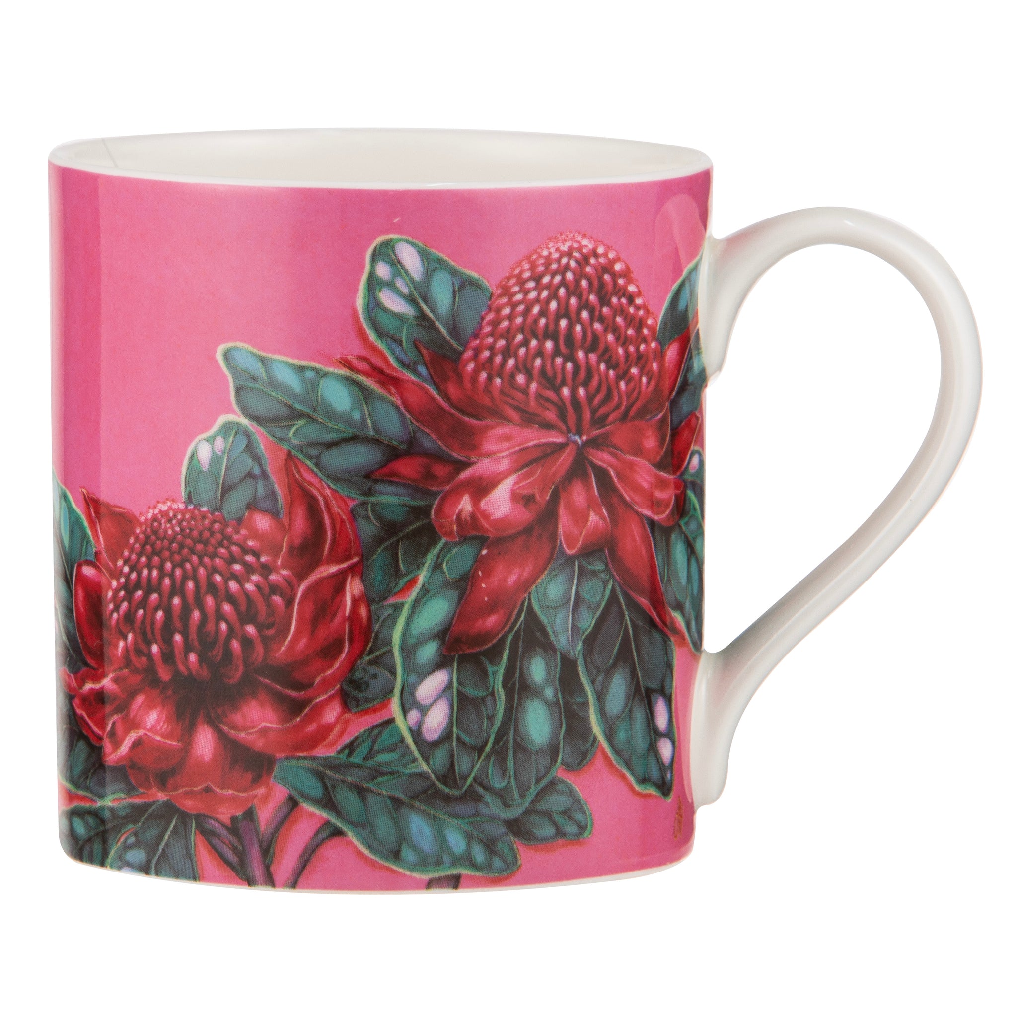 Native Flora Waratah Mug