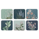 Secret Garden 6pk Assorted Coasters - Blue