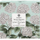 Secret Garden 6pk Assorted Coasters - Blue