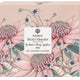 Secret Garden 6pk Assorted Coasters - Pink