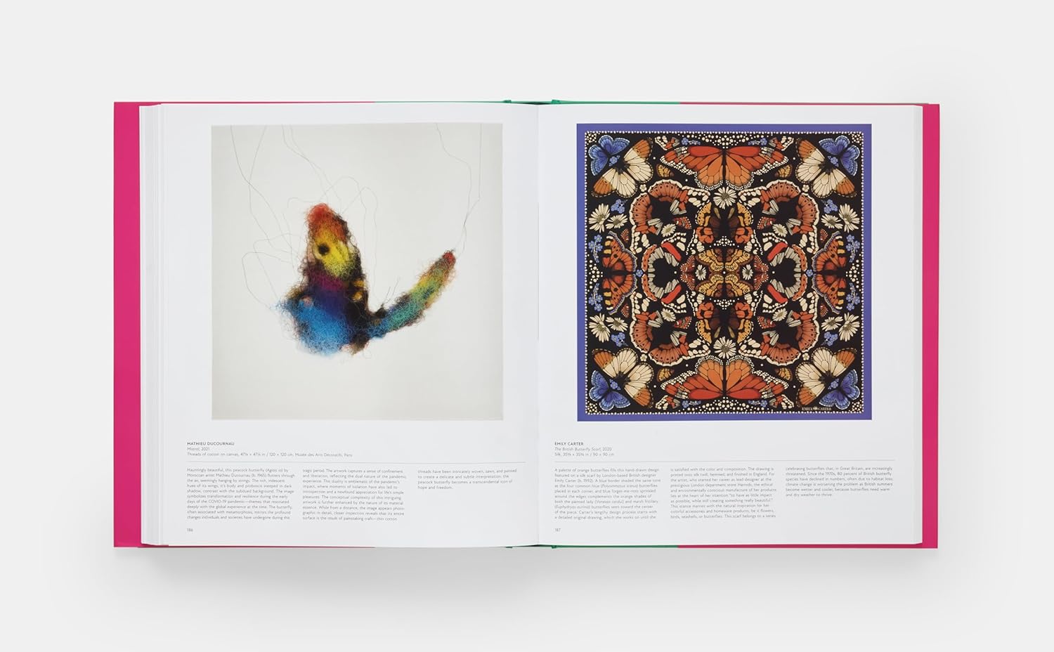 Butterfly: Exploring the World of Lepidoptera