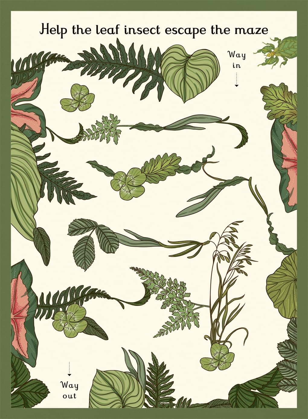 Insectarium Activity Book (Welcome To The Museum)