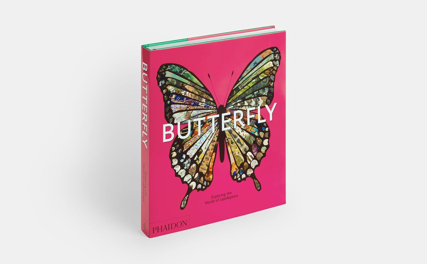 Butterfly: Exploring the World of Lepidoptera
