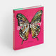 Butterfly: Exploring the World of Lepidoptera