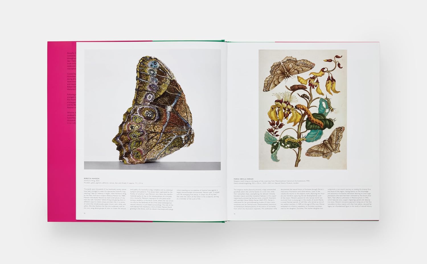 Butterfly: Exploring the World of Lepidoptera