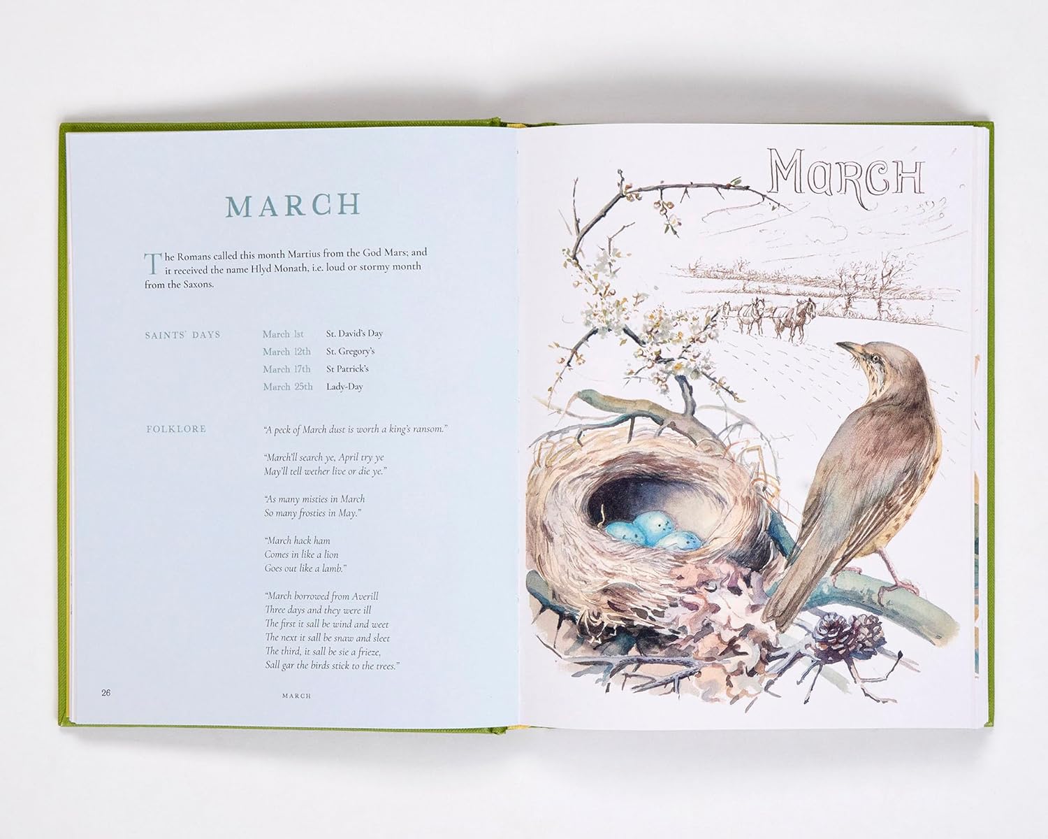 Nature Notes of an Edwardian Lady