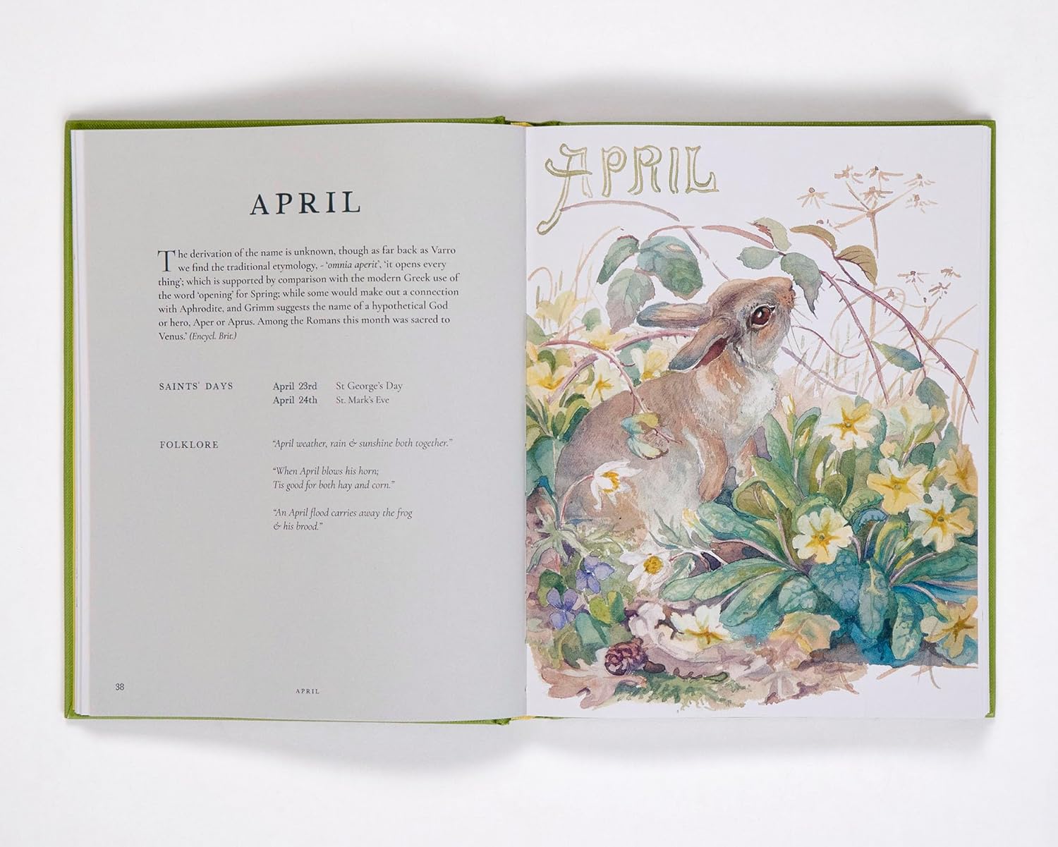 Nature Notes of an Edwardian Lady