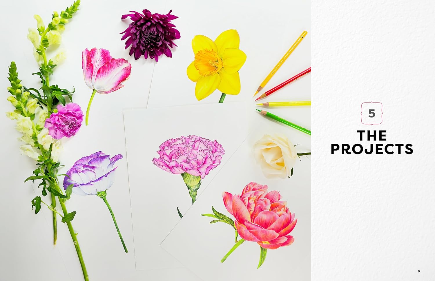 Colored Pencil Workbook: Fabulous Flowers