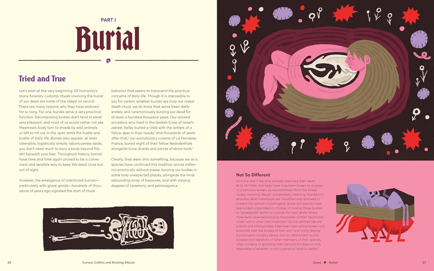 Curious Coffins and Riveting Rituals: Death Practices Around the World