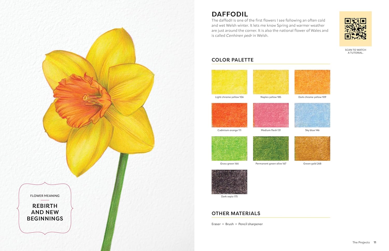 Colored Pencil Workbook: Fabulous Flowers