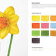 Colored Pencil Workbook: Fabulous Flowers