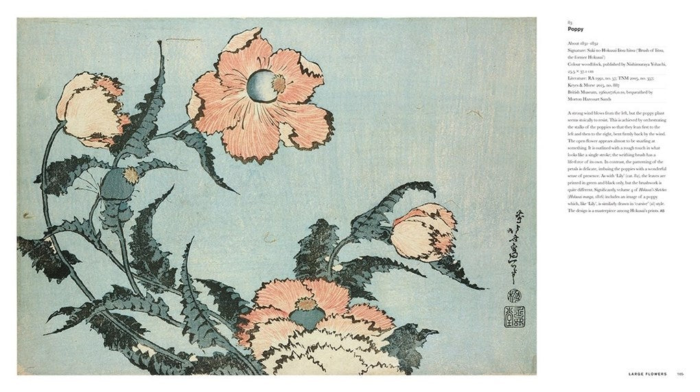 Hokusai: A Life in Drawing