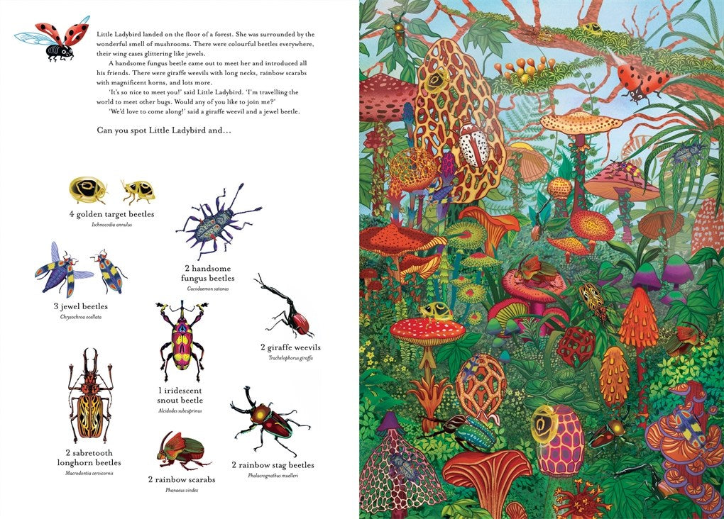 Incredible 3D Bug Hunt