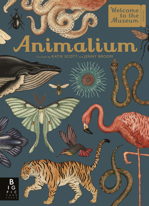 Animalium (Welcome to the Museum)