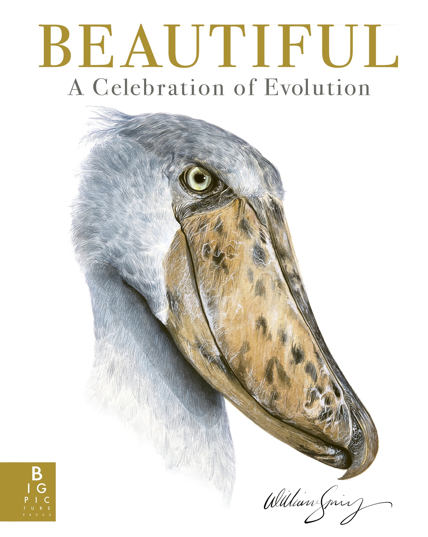 Beautiful: A Celebration of Evolution