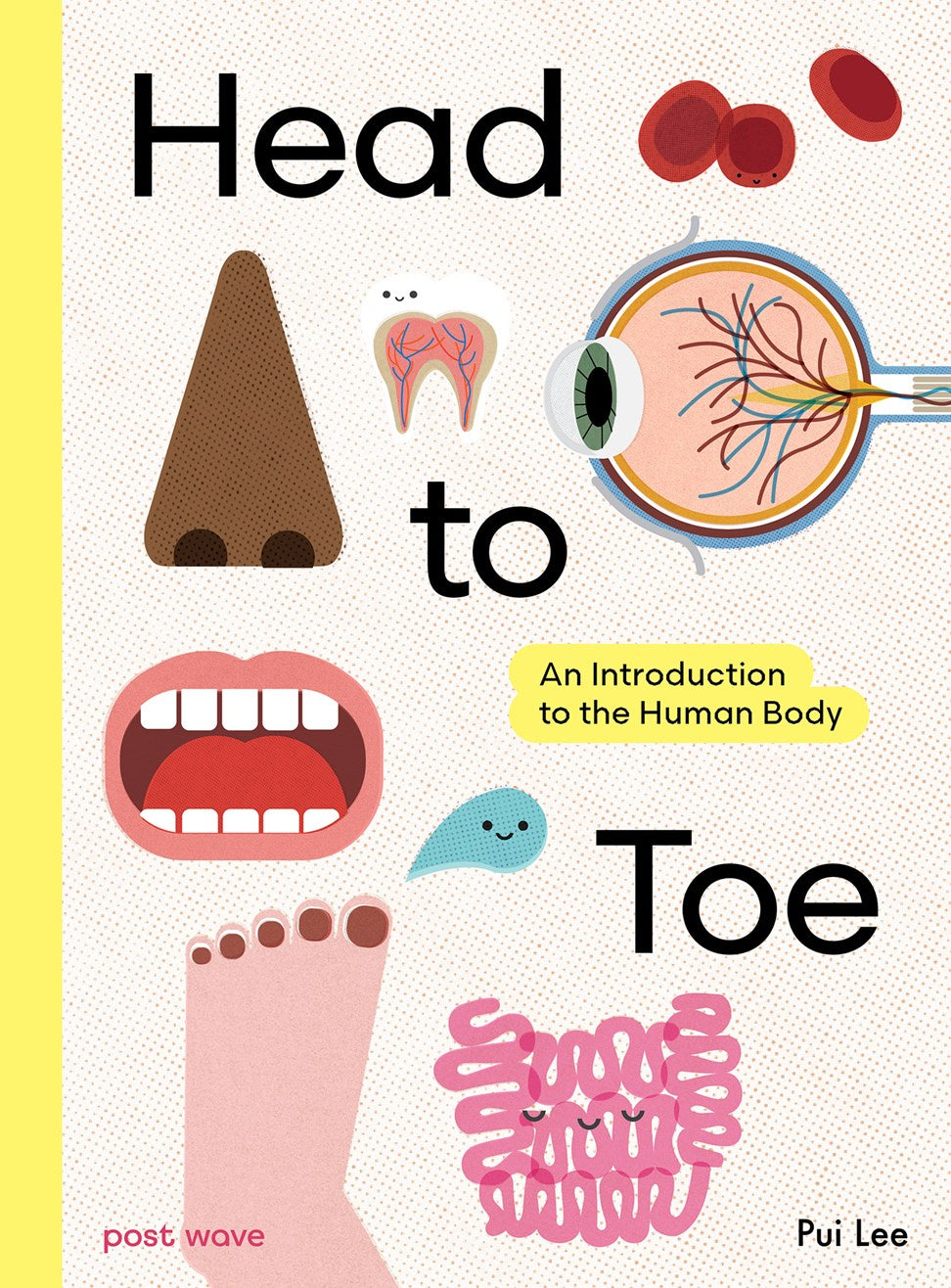 Head To Toe: An Introduction to the Human Body