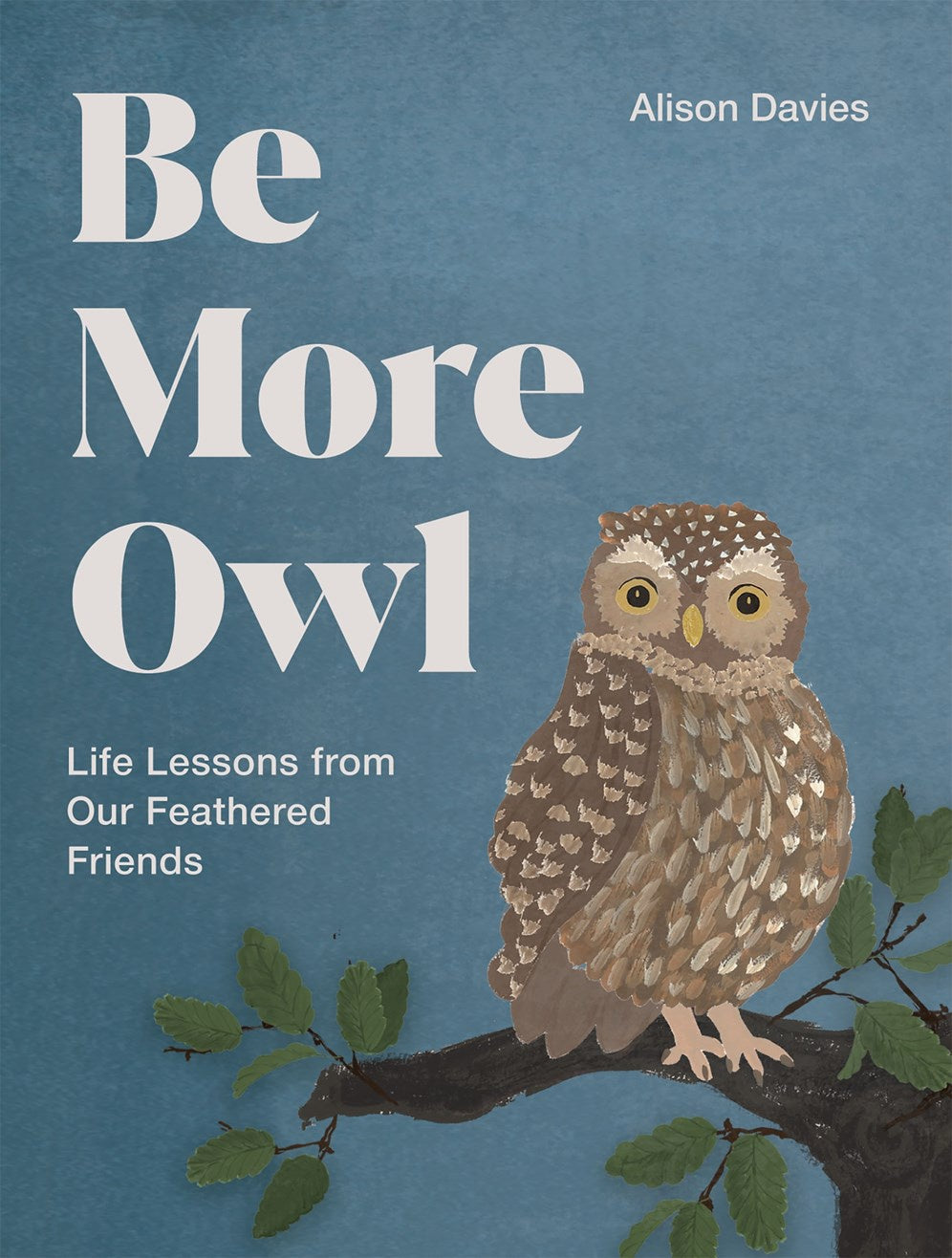 Be More Owl:  Life Lessons from Our Feathered Friends