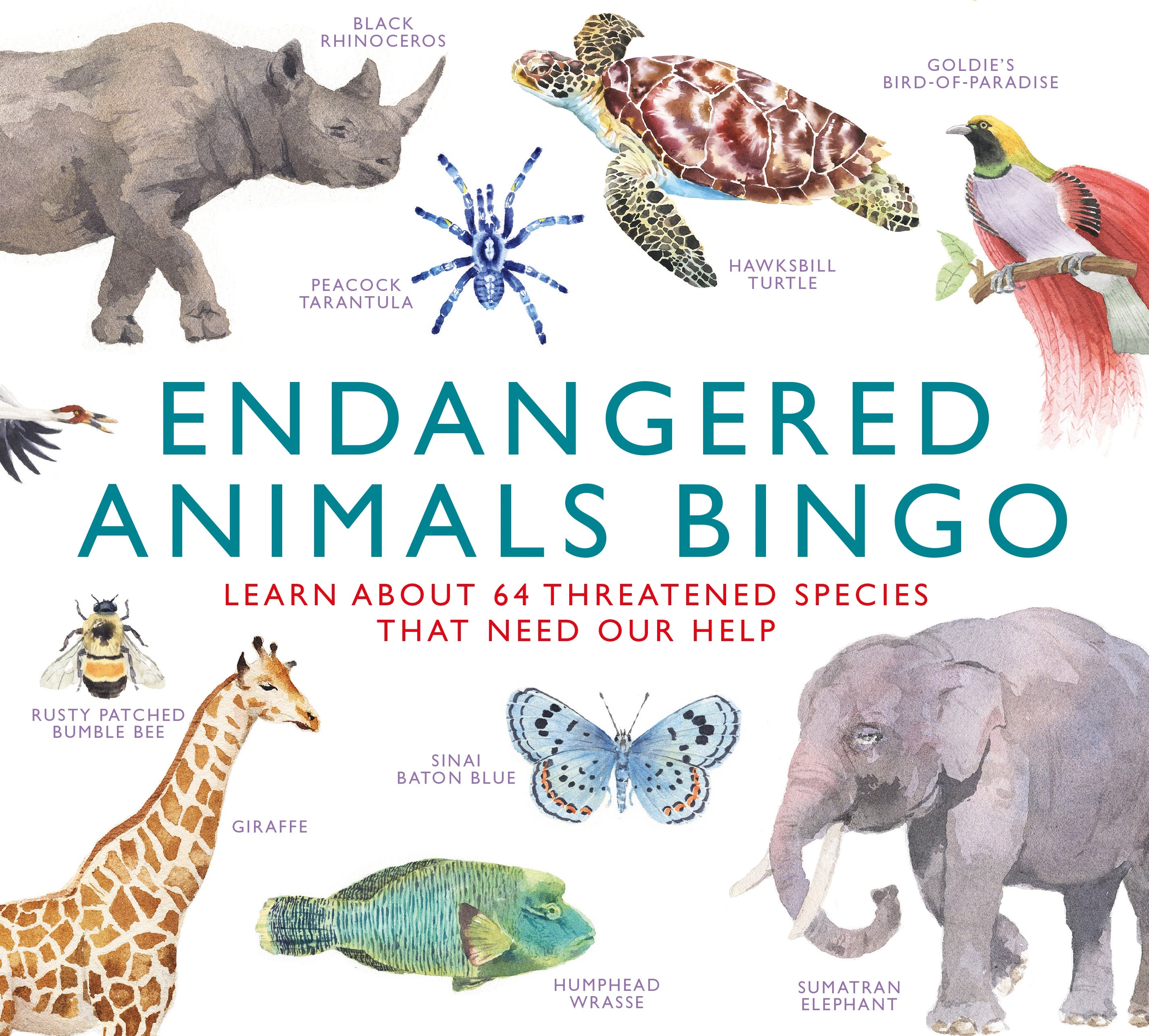 Endangered Animals Bingo: Learn About 64 Threatened Species That Need ...