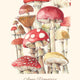 Anna Pignataro 2025 Calendar Champignons