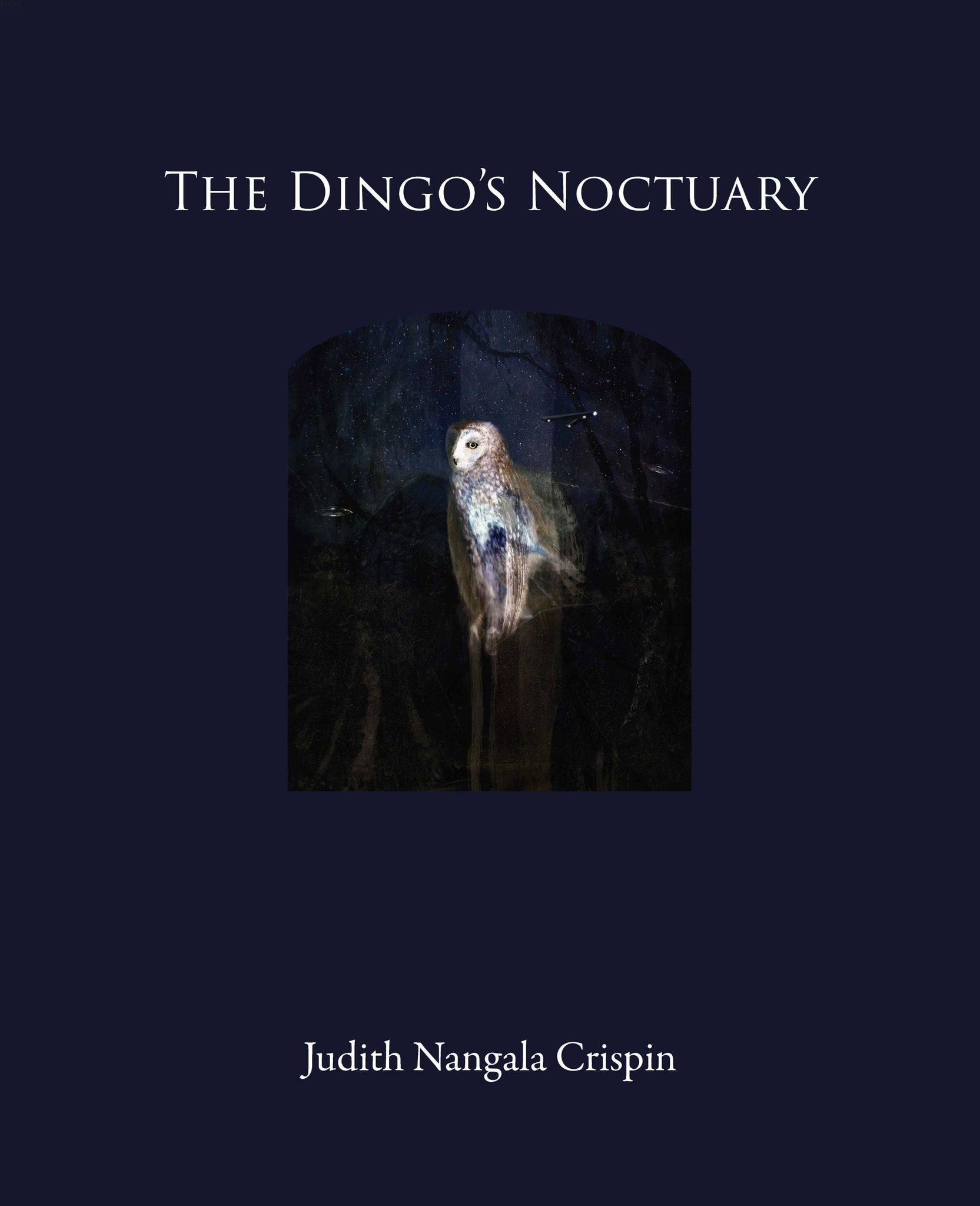 Dingo’s Noctuary