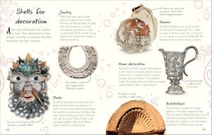 Anthology of Shells: A Collection of Fascinating Shells from Around the World