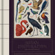 Avian Inspiration: Art and Design Inspired by Birds