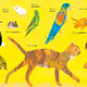 All Kinds of Things