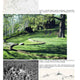 Aalto and Nature