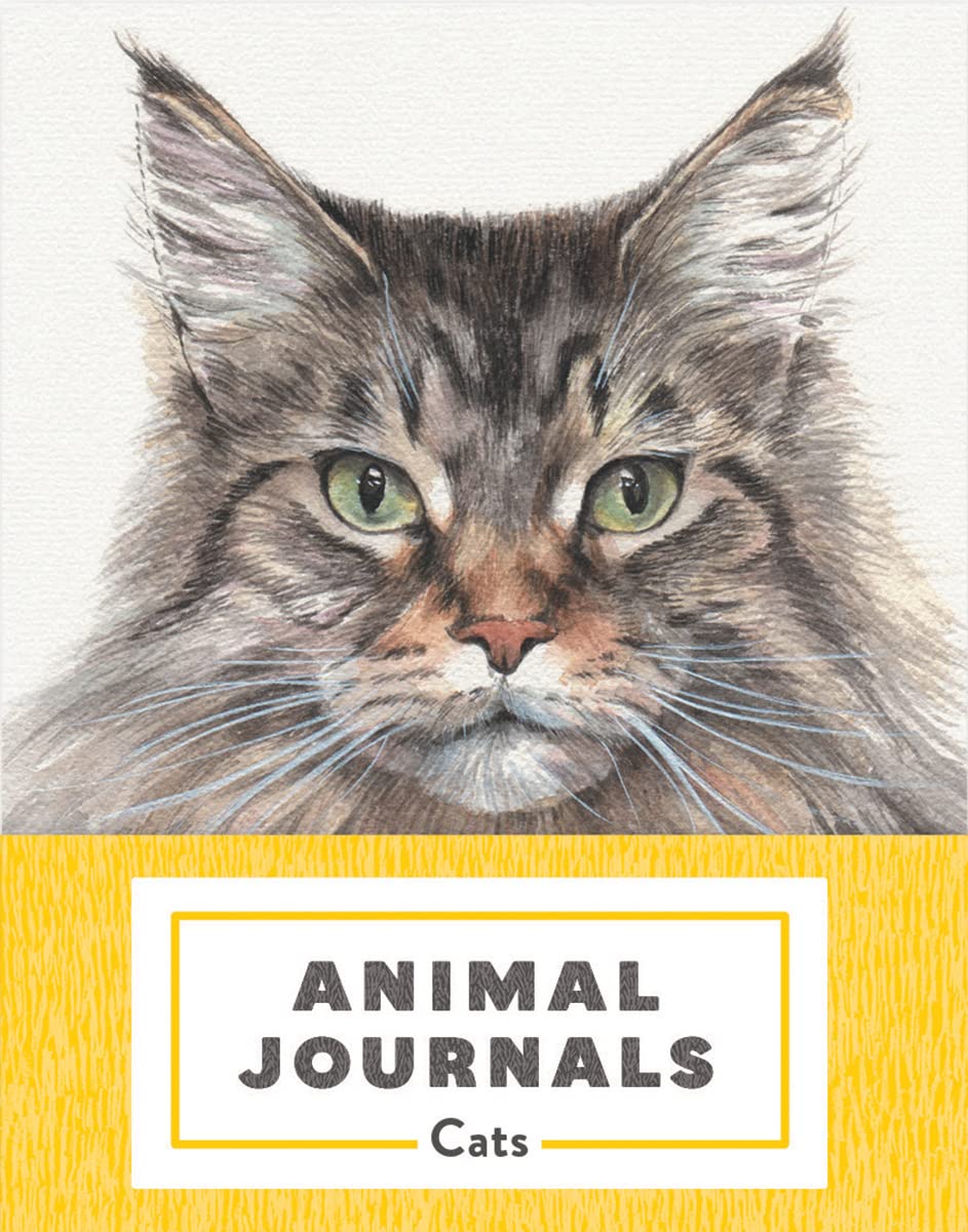 Animal Journals: Cats - Set of 4