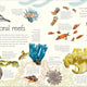 Anthology of Aquatic Life