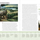 Art: The Whole Story Revised & Updated