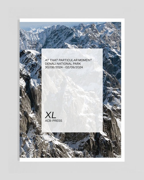 Rohan Hutchinson: At That Particular Moment XL