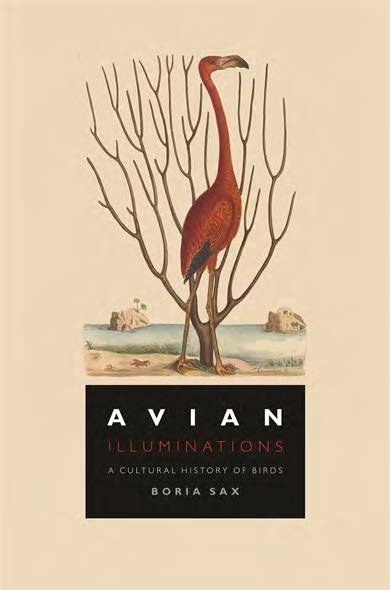 Avian Illuminations: A Cultural History of Birds