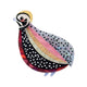 Mysterious Montezuma Quail Brooch
