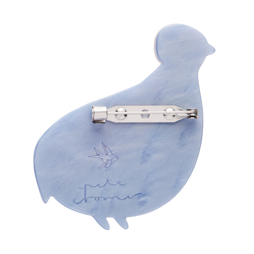 Mysterious Montezuma Quail Brooch