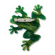 Tjawan Ritjinguthinha (Frog) Brooch