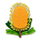 Mountain Banksia Brooch