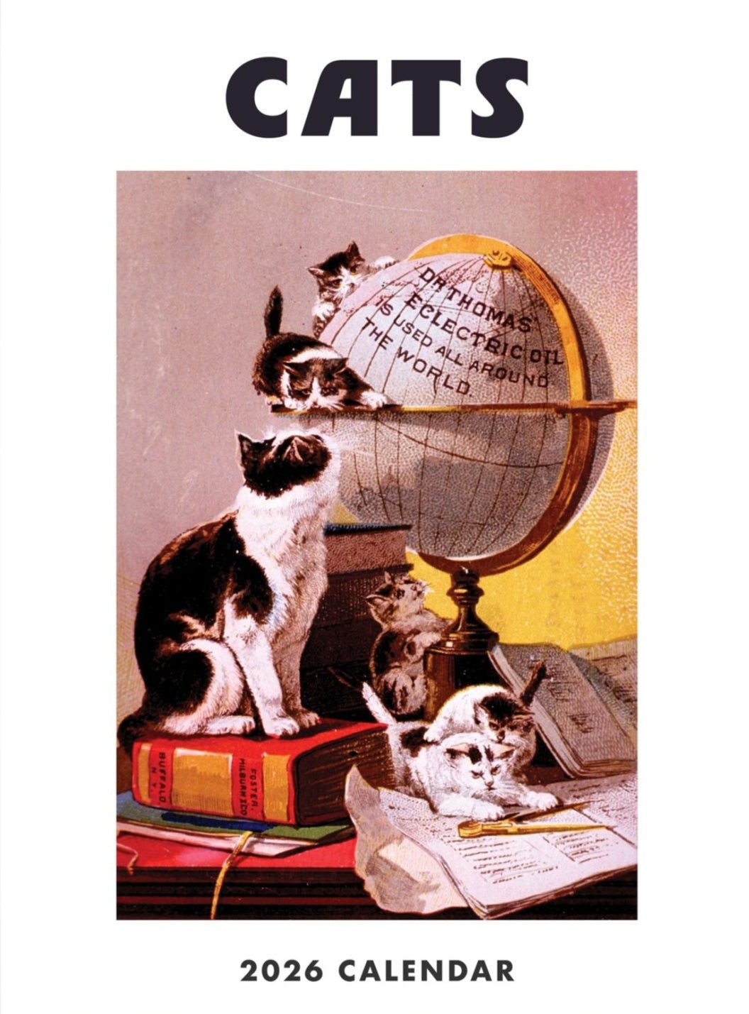 Cats Wall Calendar 2026