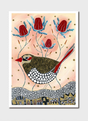 Red Eared Finch Print - Melanie Hava