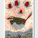 Red Eared Finch Print - Melanie Hava